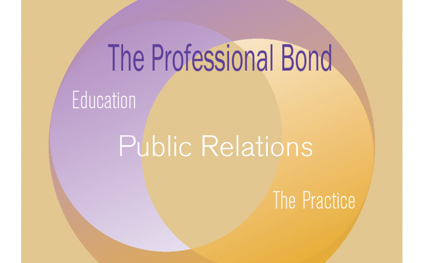 The Professional Bond (report cover)